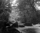 River Rivelin, Rivelin Valley