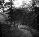 Ryecroft Glen, Ecclesall Woods