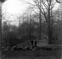 Stepping stones in Endcliffe Park on the River Porter