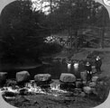 Stepping stones in Endcliffe Park on the River Porter