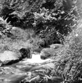 Porter Brook near Ringinglow