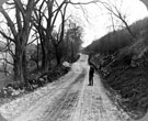 Unidentified track, possibly Rivelin area.