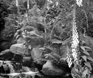 Waterfall in Endcliffe Woods