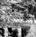 Bridge at Cordwell Valley