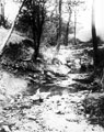 River Porter, Whiteley Woods