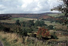 Blacka Moor, Dore