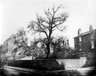 The Old Crow Tree House, junction of Devonshire Street and Broomhall Street