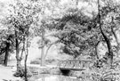 Bridge in Endcliffe Woods