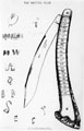 Drawing of a large clasp knife with horn handle, made by Abraham Brooksbank, Sheffield. On the handle is a metal strip, inscibed at the top 'Whittle Club' and 'Past Master Whittlers'. Below this, there is a series of names