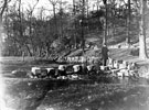 Stepping Stones, River Porter, Endcliffe Park