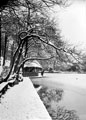 Winter at Endcliffe Wheel Bathing Dam, Endcliffe Park