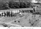 Nature Study, a lesson in the garden, part of a series of lessons in Nature Study-mainly Plant Life in the School garden by Headmaster J. Eaton Feasey, using pupils from Nethergreen School also known as Ranmoor School)