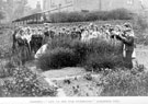 Grasses, let us see for ourselves, part of a series of lessons in Nature Study-mainly Plant Life in the School garden by Headmaster J. Eaton Feasey, using pupils from Nethergreen School also known as Ranmoor School)