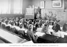 Inflorescences, revision in school, with drawing', part of a series of lessons in Nature Study-mainly Plant Life, in the School garden, by Headmaster, J. Eaton Feasey, using pupils from Nethergreen School (also known as Ranmoor School)