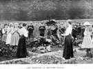 The firmness of rhubarb stalks', part of observational studies in Plant Life, Light etc., by Headmaster, J. Eaton Feasey, using pupils from Nethergreen School (also known as Ranmoor School)