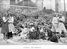 Tickling the Mimulus', part of observational studies in Plant Life, Light etc., by Headmaster, J. Eaton Feasey, using pupils from Nethergreen School (also known as Ranmoor School)