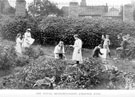 The young meteorologists', part of a series of lessons in Nature Study-mainly Plant Life, in the School garden, by Headmaster, J. Eaton Feasey, using pupils from Nethergreen School (also known as Ranmoor School)