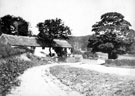 Cottages at Lanes End, Button Hill Lane, north of Banner Cross Road junction. Button Hill Lane was later renamed Button Hill