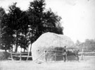 Horse and haystack at Norton