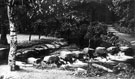 Stepping stones in Endcliffe Park on the River Porter