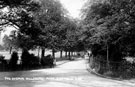 Hillsborough Park, the Avenue leading down to Penistone Road