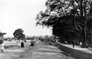 Firth Park looking towards Vivian Road