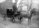 Horse drawn carriage and driver