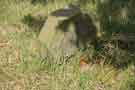 View: a03171 Christ Church graveyard, Dore.  Small-pox marker?