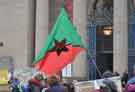 View: a04216 Green Left flag at the demonstration against Sheffield City Council's partnership with Amey for the management of the city's highways and trees