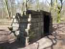 View: a04458 Lost Gateway, Woolley Wood rune carving