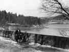 View: s32577 Rivelin Dams, also known as Hollow Meadows Dams 