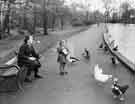 View: s32612 Feeding the ducks in Endcliffe Park