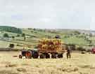 View: s34741 Haymaking in the Mayfield Valley