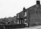 View: s38660 Nos.83-85 Carr Road, Deepcar showing the rear of modern houses in St. Margaret's Avenue