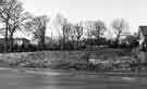 View: s41394 Gilleyfield Avenue near the junction with Bushey Wood Road, looking to the bottom of Savage Lane