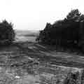 View: s42721 Site of proposed Mosborough Expressway (later Mosborough Parkway) at the back of Richmond Road - these gardens would later disappear