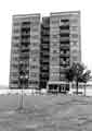 View: s43280 The Fosters flats, High Green showing (l.to r.) Fresh N' Fruity, greengrocers and Jackson's, butchers