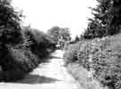 View: s43447 Lane (possibly Hollow Lane) leading off Mosborough Hall Drive