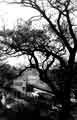 View: s43507 View of Handsworth Road from the roof of St. Mary's C.of E. Church, Handsworth c.1960