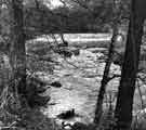 View: s43580 River Don from Langsett Road South