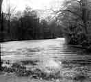 View: s43630 River Rivelin in the Rivelin Valley