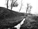 View: s43645 Hartley Brook Dike, Ecclesfield at rear of High Greave