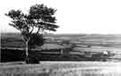 View: s43669 View of (right) Seldom Seen, Beighton a row of houses demolished in 1987