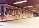 View: s44404 Tudor Way subway under Arundel Gate showing graffiti artwork