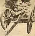 View: s45060 One of the town field guns in the Palm House, Botanical Gardens