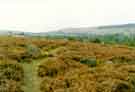 View: t07959 Ewden Stone Circle, near Ewden Lodge Farm, Mortimer Road, Bolsterstone