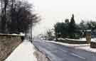 View: t08321 Carter Knowle Road at the entrance to the Real Macaw public house (right), later the Prince of Wales PH