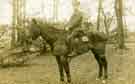 View: t08517 Driver Thomas Sidney Hanson, Royal Engineers on horse