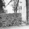 View: t08909 Rear of now demolished cottages at Wadsley Bridge