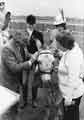 View: t09042 South Yorkshire County Council. Pageant of the Horse at possibly Doncaster racecourse c.1981